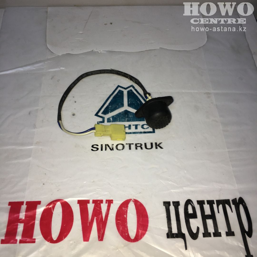 Кнопка глушилка двигателя WG9719710001