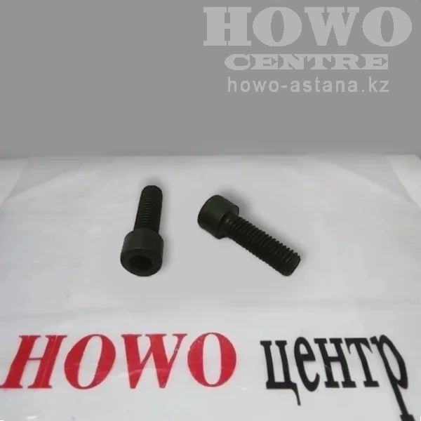 Болт суппорта тормозного Q151B0825TF2