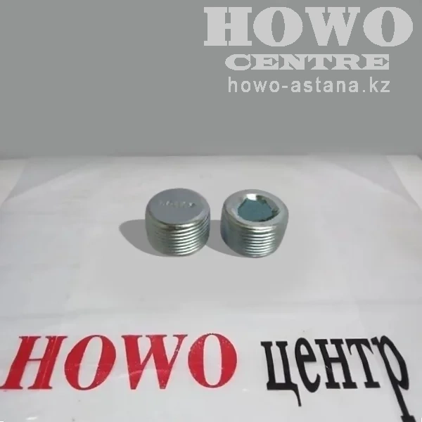 Заглушка резьбовая на мост AC16 24mm (оригинал) WG9003960024