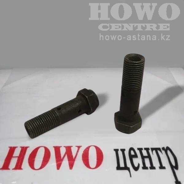 Штуцер шланга масляного 10*35*1.0 VG1560070012