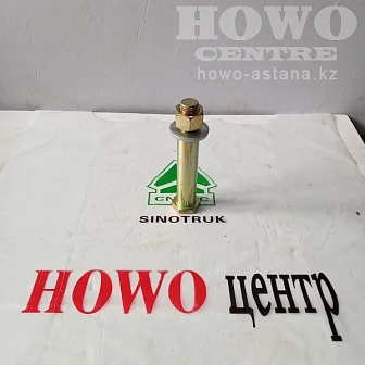 Болт с гайкой заднего стабилизатора WG80680029/20*113