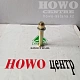 Болт с гайкой заднего стабилизатора WG80680029/20*113