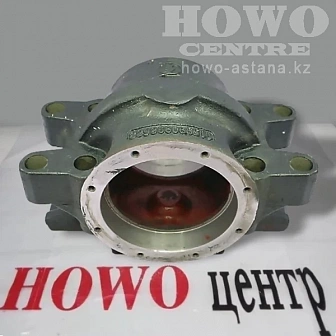 Картер балансира DZ91259520038