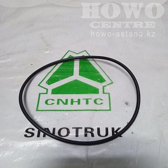 Кольцо резиновое буксы рессоры NS 07- 12- N25*10