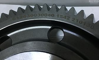 Шестерня средняя газораспределительного механизма WP12 612630030040