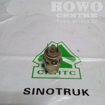 Датчик давления воздуха WG 9130713001