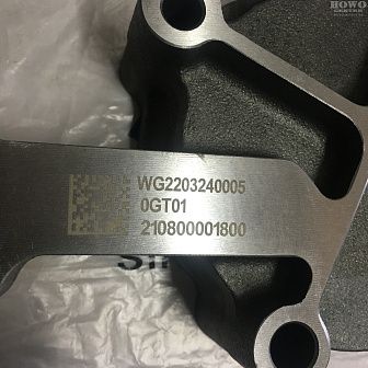 Насос масляный оригинальный WG2203240005