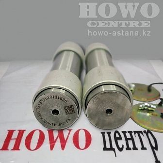Ремкомплект шкворней GZWWG4095415002