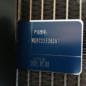 Радиатор охлаждения DZ9112539268